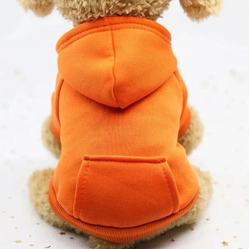 Sweat Capuche Chien
