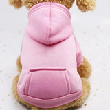 Sweat Capuche Chien