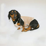 T-Shirt Eté En Coton Pour Chien Teckel