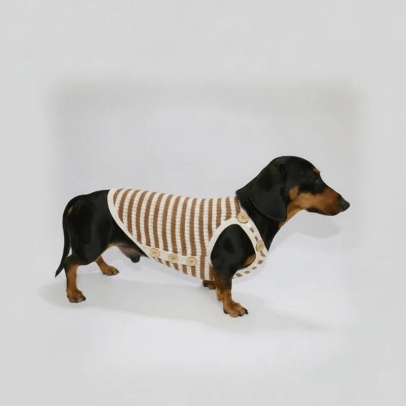 T-shirt coton pour teckel à rayures marron et crème, confortable pour les animaux de compagnie