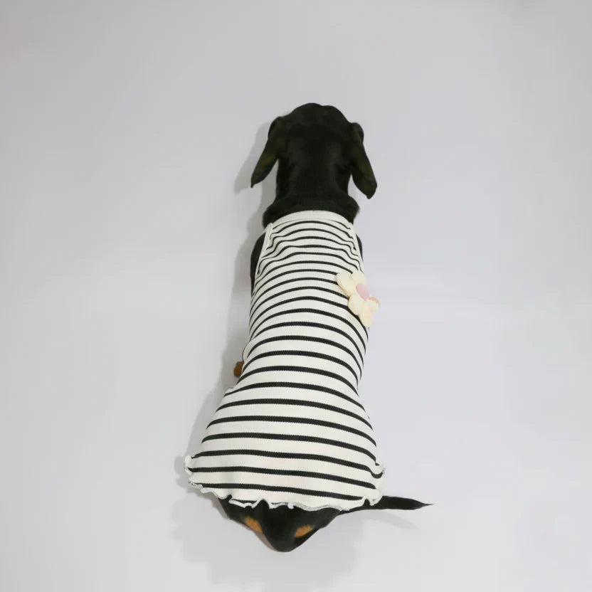 T-Shirt Eté En Coton Pour Chien Teckel