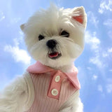 T-Shirt Polo d'Été pour Chien