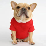 T-Shirt Uni pour Chien