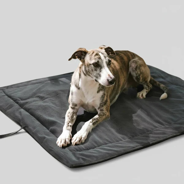 Tapis D'Extérieur Portable Pour Chien