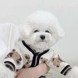 Tricot pour Chien