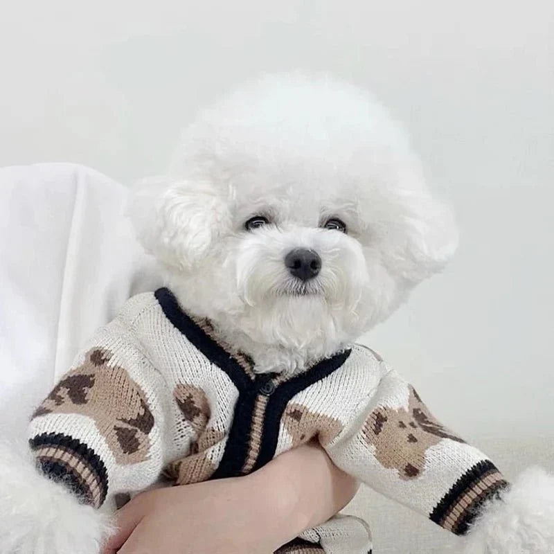 Tricot pour Chien