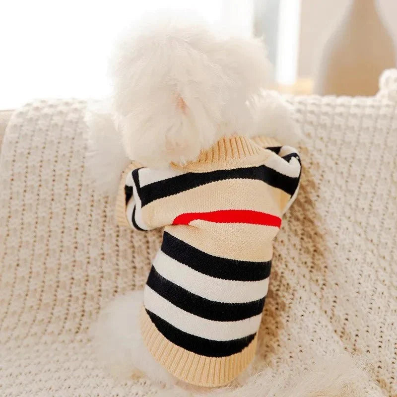Tricot pour Chien