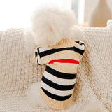 Tricot pour Chien