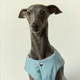 Veste Chaude Pour Chien Lévrier Et Whippet