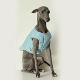Veste Chaude Pour Chien Lévrier Et Whippet