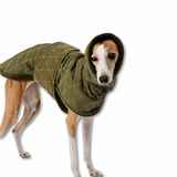 Veste Élégante Et Réglable Pour Lévrier