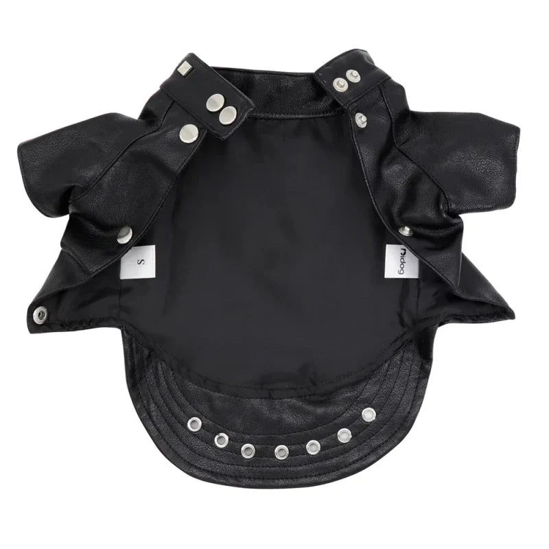 Veste en Cuir pour Chat