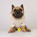 Imperméable Pour Bouledogue Français - Les Bonnes Affaires